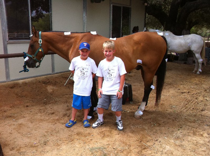 Label the Parts of the Horse!