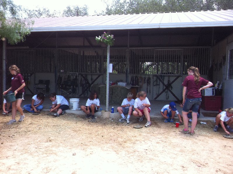 Making Stepping Stones with Horse Shoes!